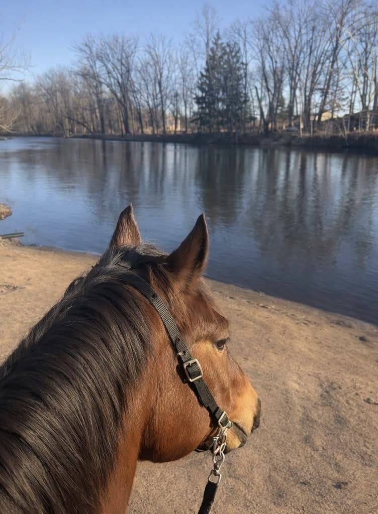 Wolf River Trails - Horseback Riding 6 Img 4222